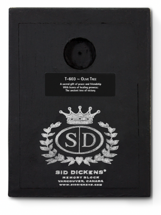 Olive Tree Sid Dickens