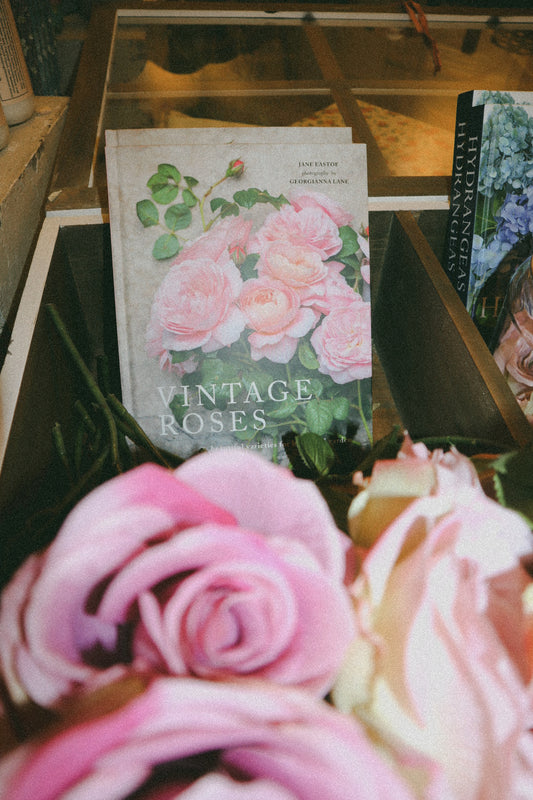 Vintage Rose Book