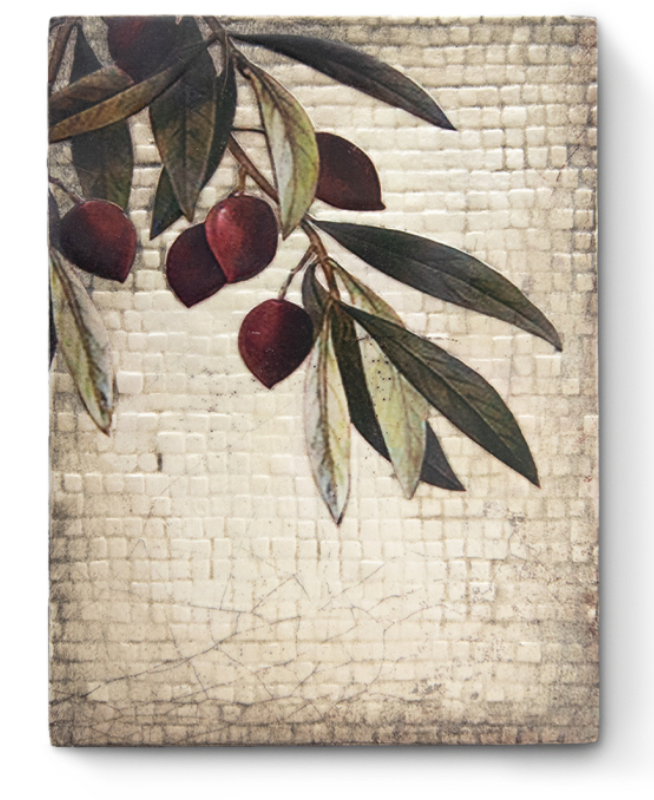 Olive Tree Sid Dickens