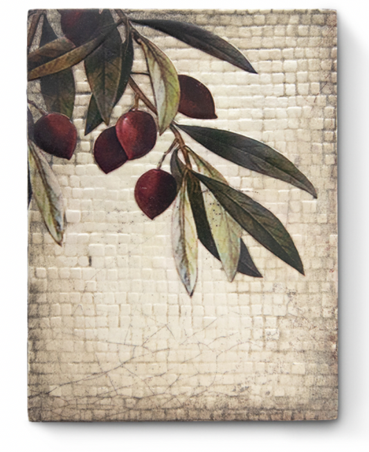 Olive Tree Sid Dickens