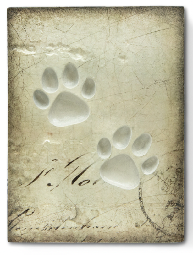 Companion Sid Dickens