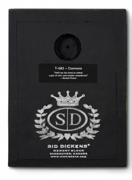 Companion Sid Dickens