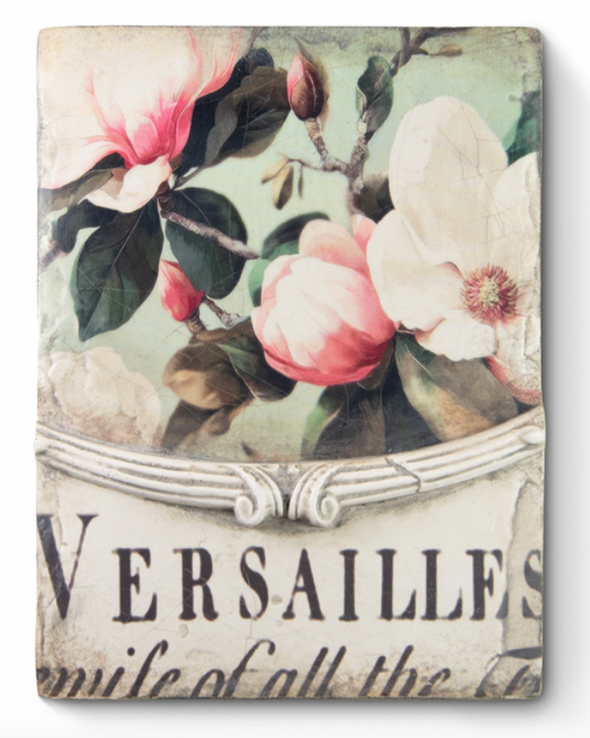Versailles Magnolie Sid Dickens